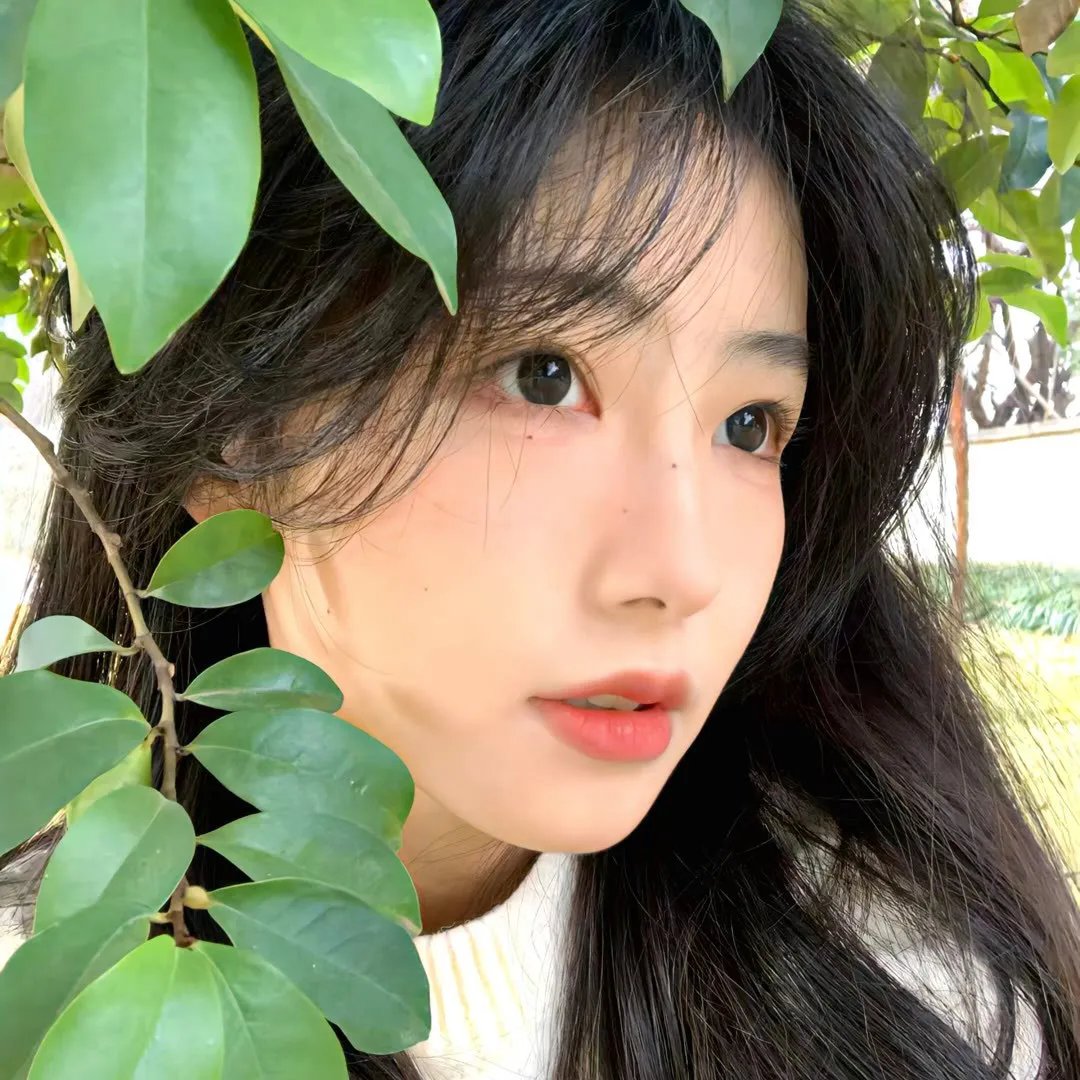 一切为了一个女孩